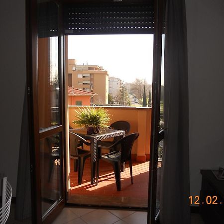Apartment Via Delle Torri ピサ エクステリア 写真
