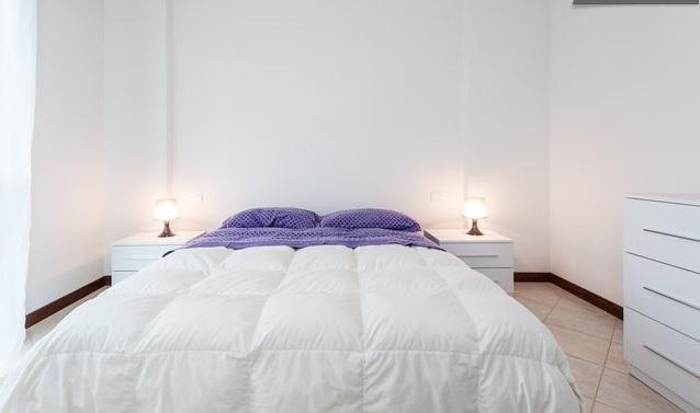Apartment Via Delle Torri ピサ エクステリア 写真